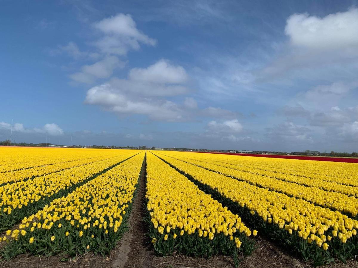 Accomadatie ZONNESTRAAL Westerland Exterior foto